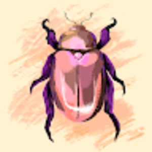 Meet your Posher, Kosmic